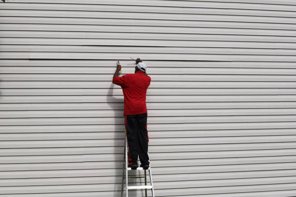 Best Custom Siding Design  in Oakley, UT